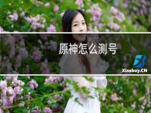 原神怎么测号