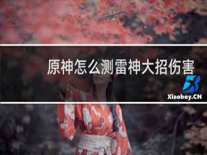原神怎么测雷神大招伤害