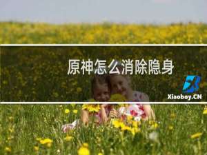原神怎么消除隐身