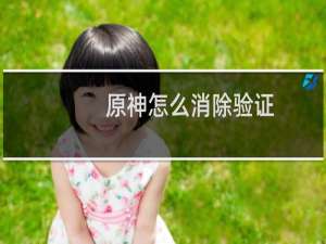 原神怎么消除验证