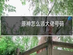 原神怎么添大佬号码