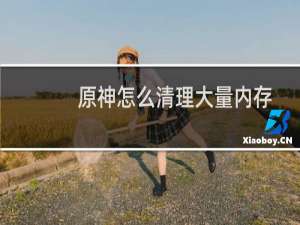 原神怎么清理大量内存