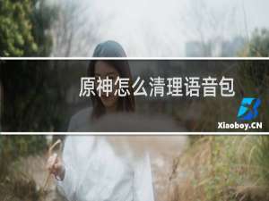 原神怎么清理语音包