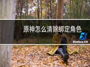 原神怎么清除绑定角色