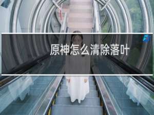 原神怎么清除落叶