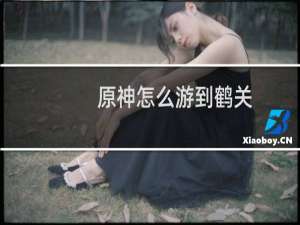 原神怎么游到鹤关