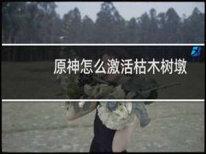 原神怎么激活枯木树墩