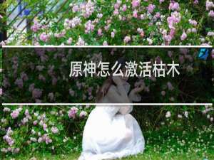 原神怎么激活枯木