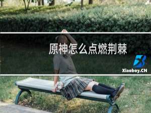 原神怎么点燃荆棘