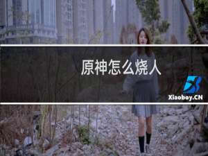 原神怎么烧人