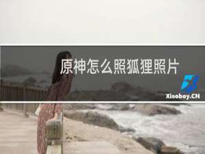 原神怎么照狐狸照片