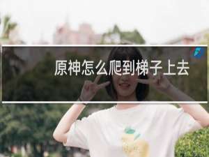 原神怎么爬到梯子上去