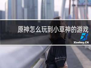 原神怎么玩到小草神的游戏