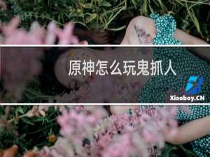原神怎么玩鬼抓人