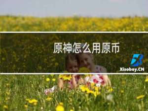原神怎么用原币