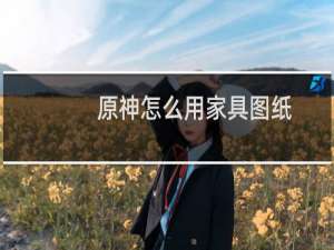 原神怎么用家具图纸
