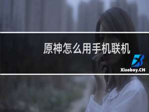 原神怎么用手机联机