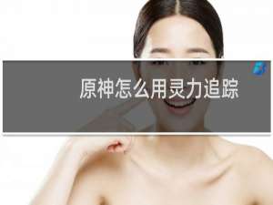 原神怎么用灵力追踪