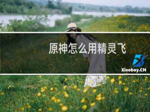 原神怎么用精灵飞