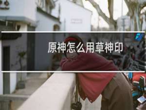 原神怎么用草神印