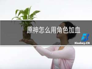 原神怎么用角色加血