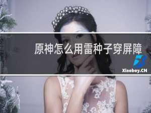 原神怎么用雷种子穿屏障