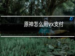 原神怎么用vx支付