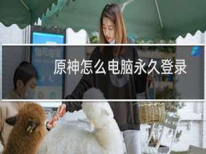 原神怎么电脑永久登录