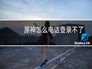 原神怎么电话登录不了