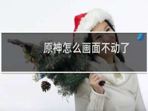 原神怎么画面不动了