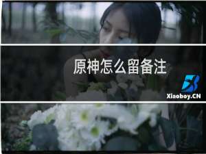 原神怎么留备注