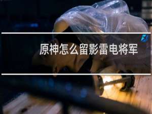 原神怎么留影雷电将军