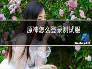 原神怎么登录测试服