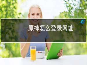原神怎么登录网址