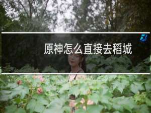 原神怎么直接去稻城