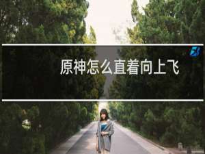 原神怎么直着向上飞