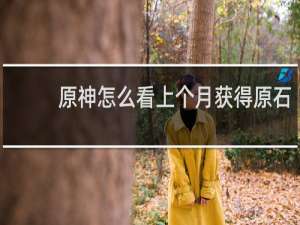 原神怎么看上个月获得原石