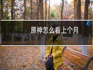原神怎么看上个月