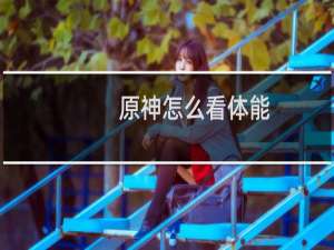 原神怎么看体能