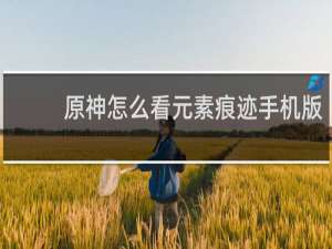 原神怎么看元素痕迹手机版