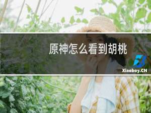 原神怎么看到胡桃