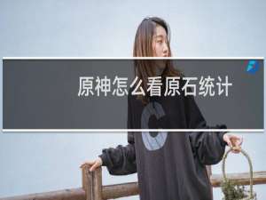 原神怎么看原石统计