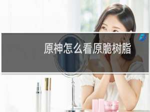 原神怎么看原脆树脂