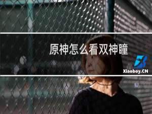 原神怎么看双神瞳