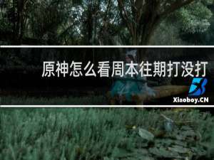 原神怎么看周本往期打没打