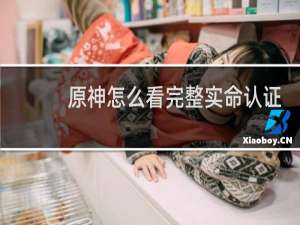 原神怎么看完整实命认证