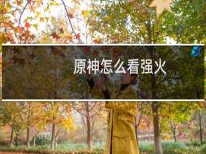 原神怎么看强火