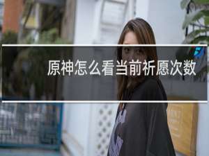原神怎么看当前祈愿次数
