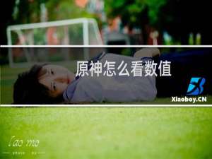 原神怎么看数值
