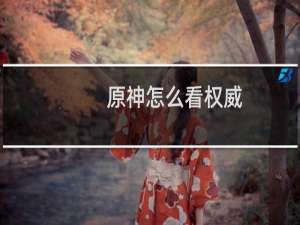 原神怎么看权威